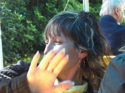2011 Fahnensetzer Fete